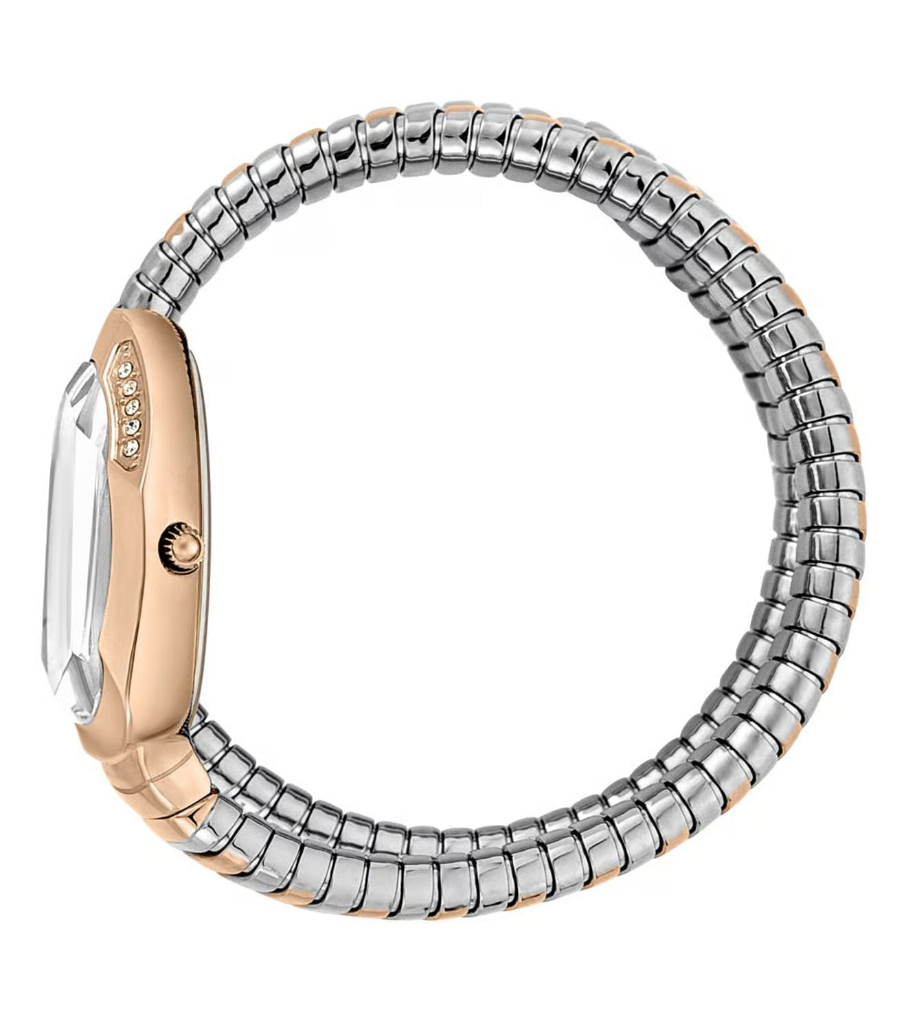 JUST CAVALLI JC1L209M0075