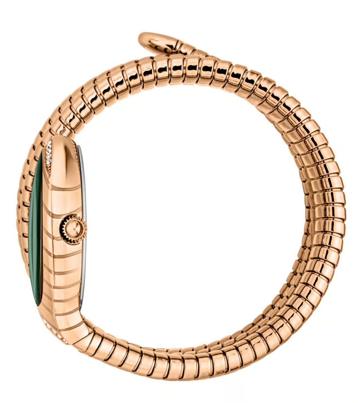 JUST CAVALLI JC1L248M0045