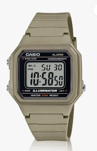 CASIO I131