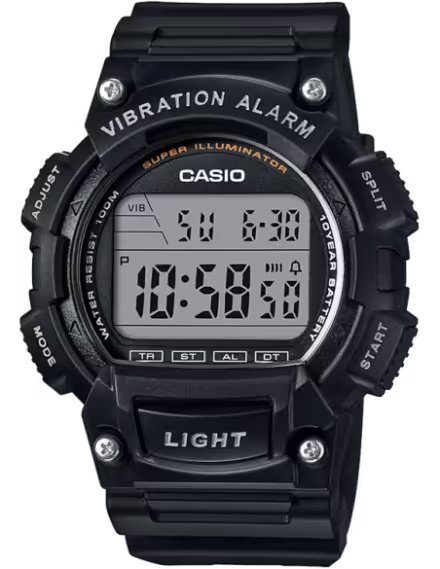 CASIO I102