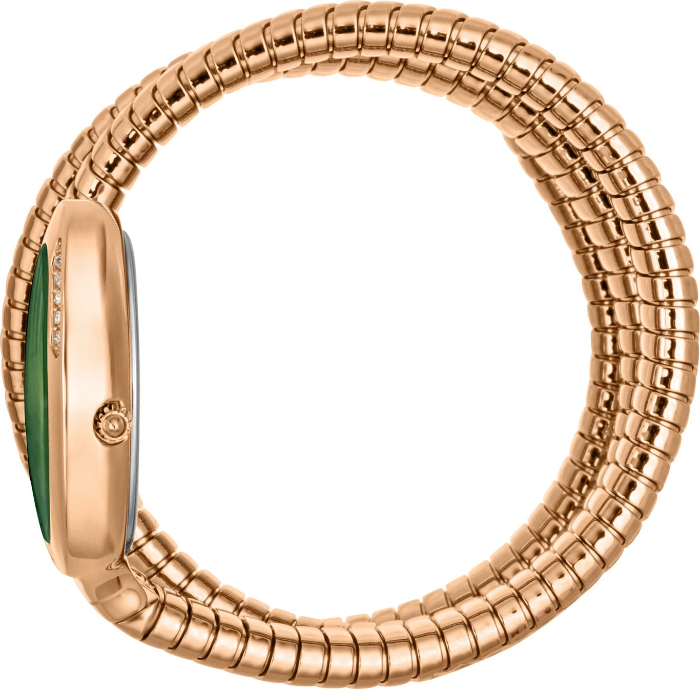 JUCT CAVALLI JC1L228M0055