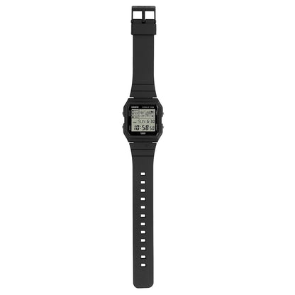 CASIO D396