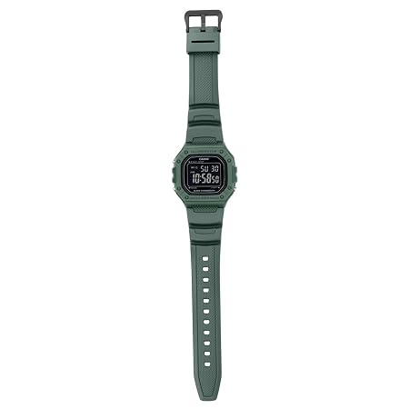 CASIO D394