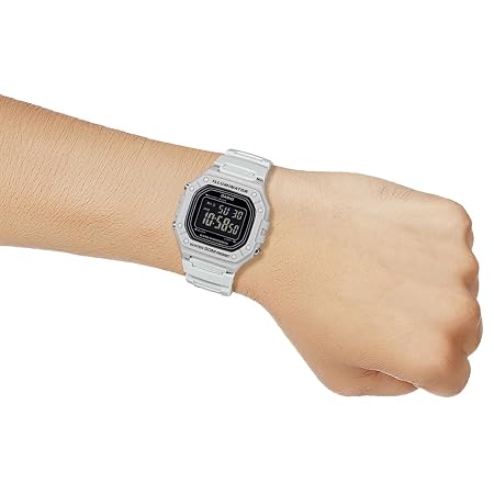 CASIO D395