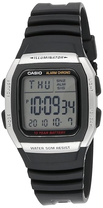 CASIO D031
