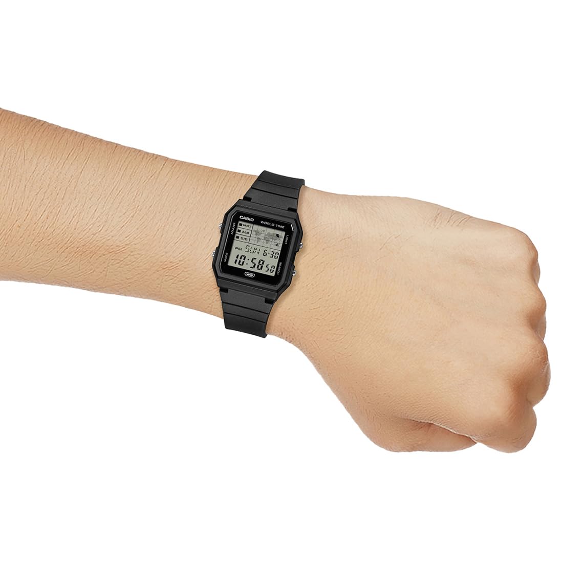 CASIO D396