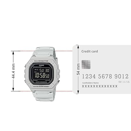 CASIO D395