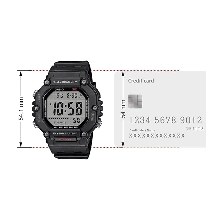 CASIO D386