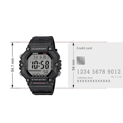 CASIO D386