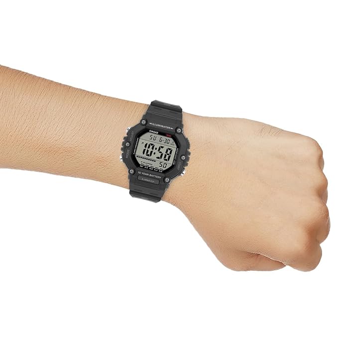 CASIO D386
