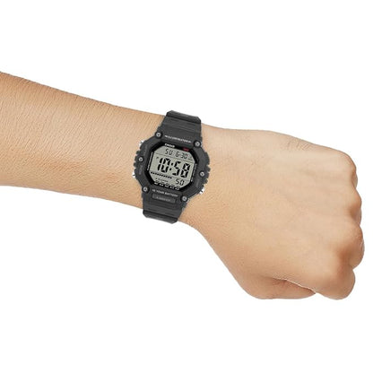 CASIO D386