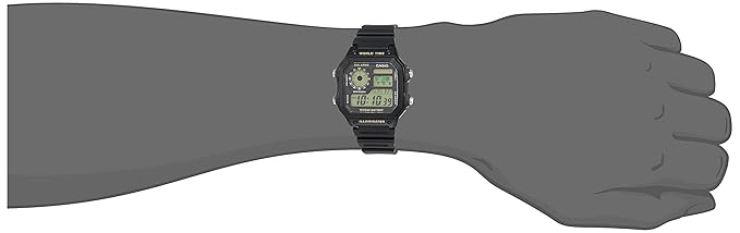 CASIO D098