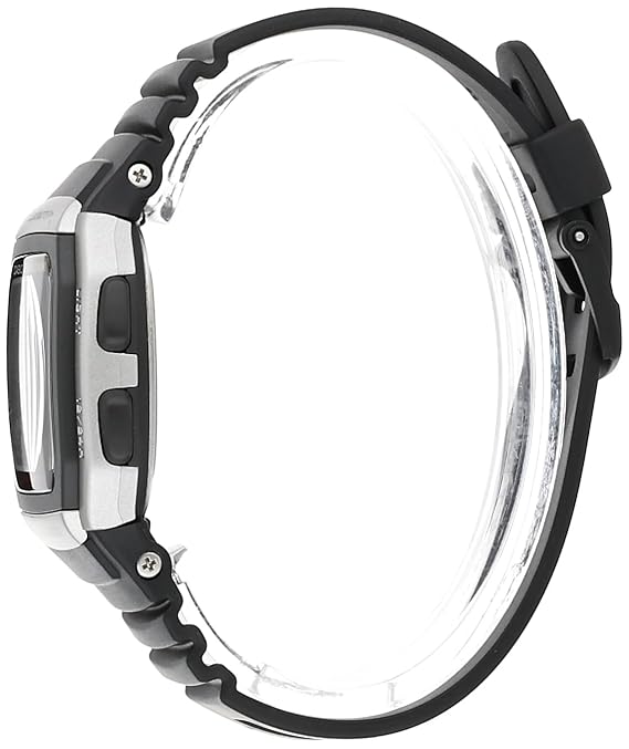 CASIO D031