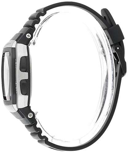 CASIO D031