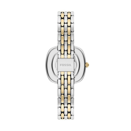 FOSSIL ES5509