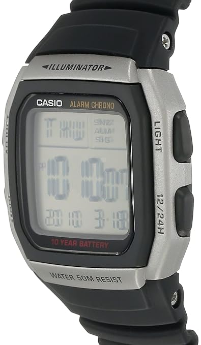 CASIO D031
