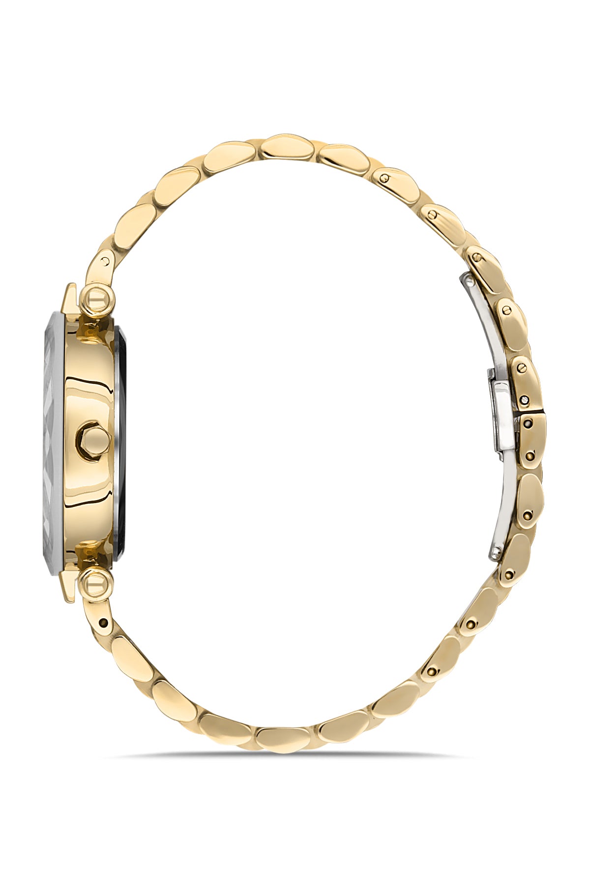 David Guner DG-8183LA-B10 Women's Green Watch