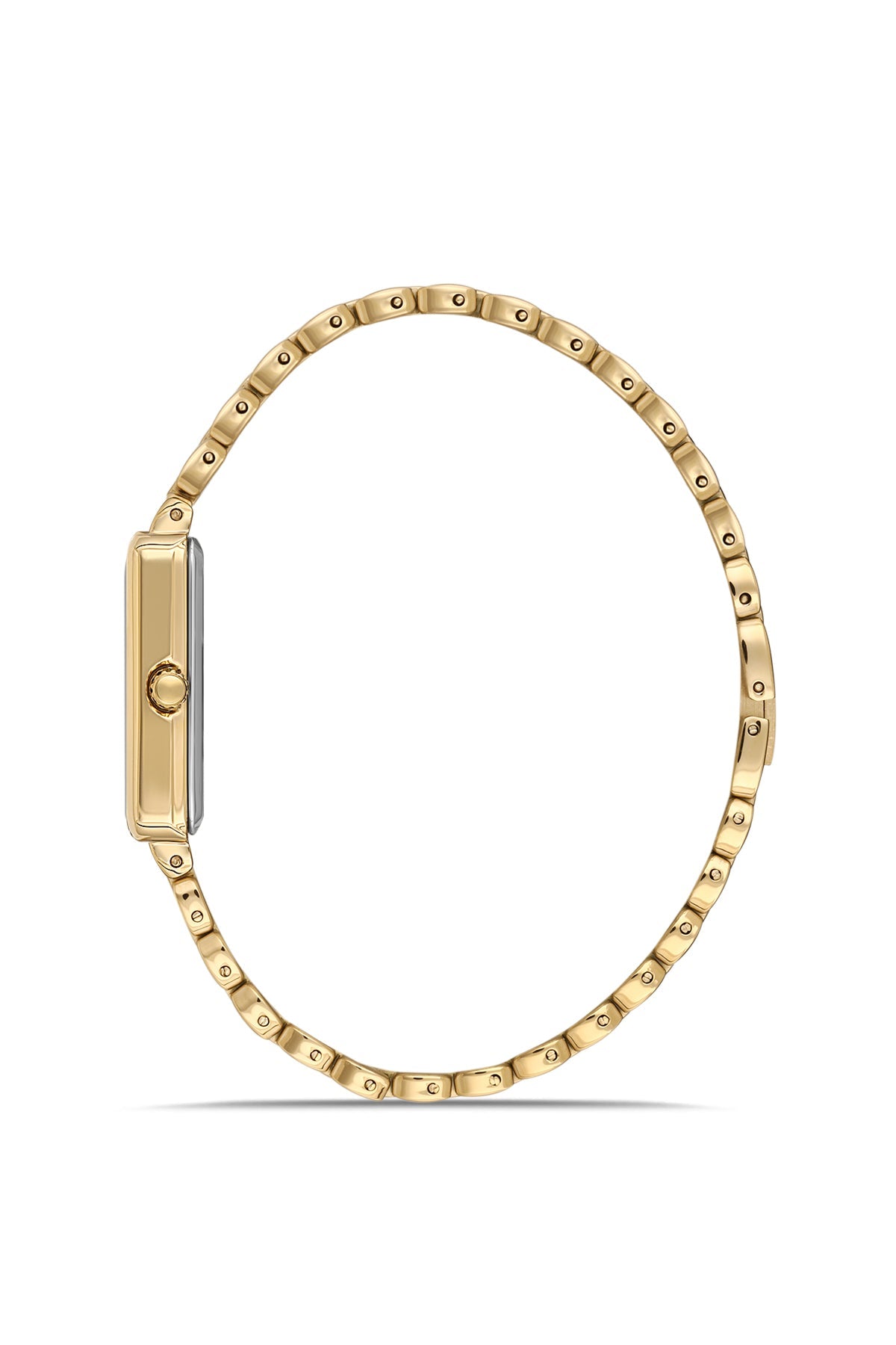 David Guner DG-8882LA-B4 Watch