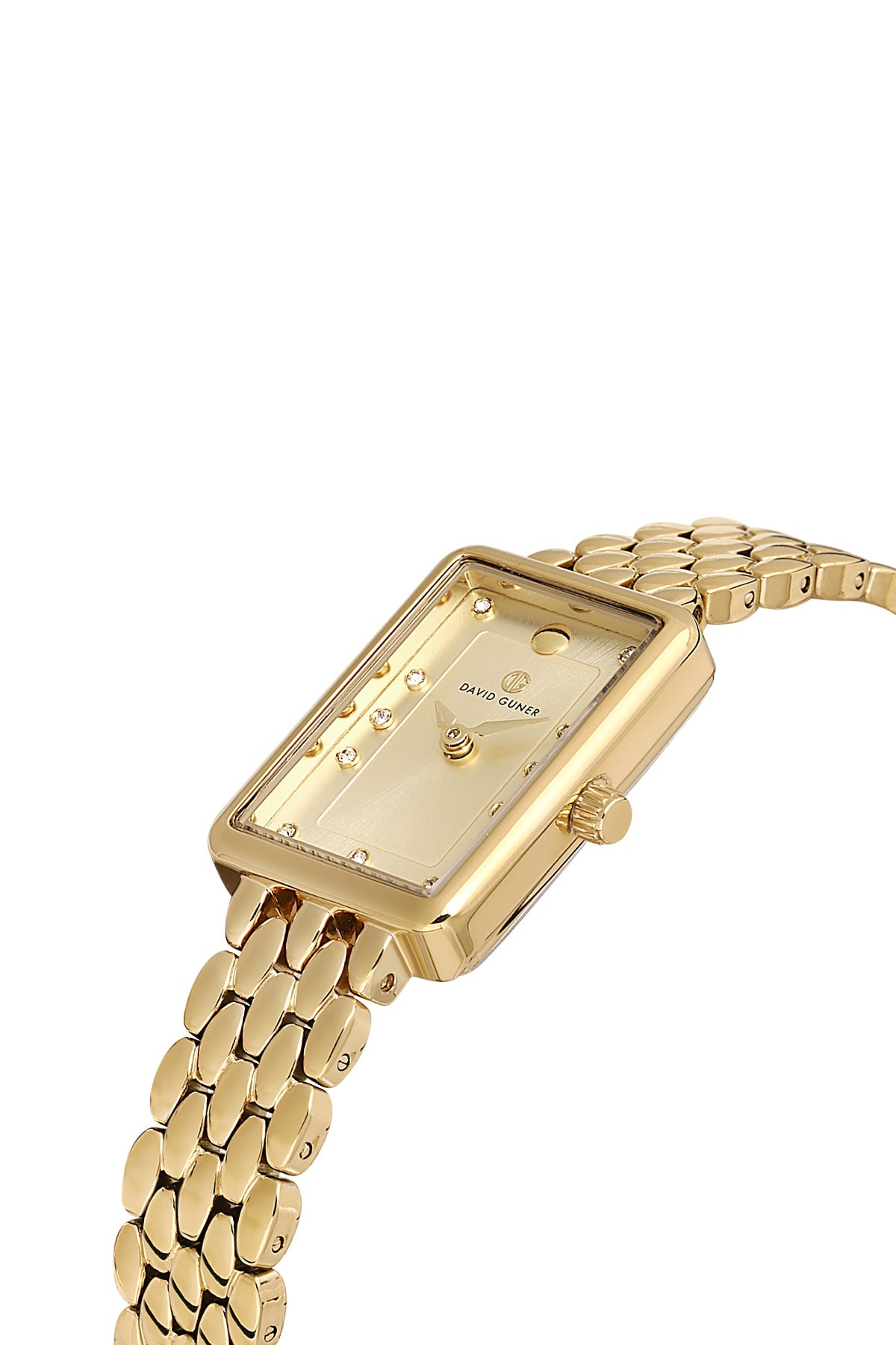 David Guner DG-8882LA-B4 Watch