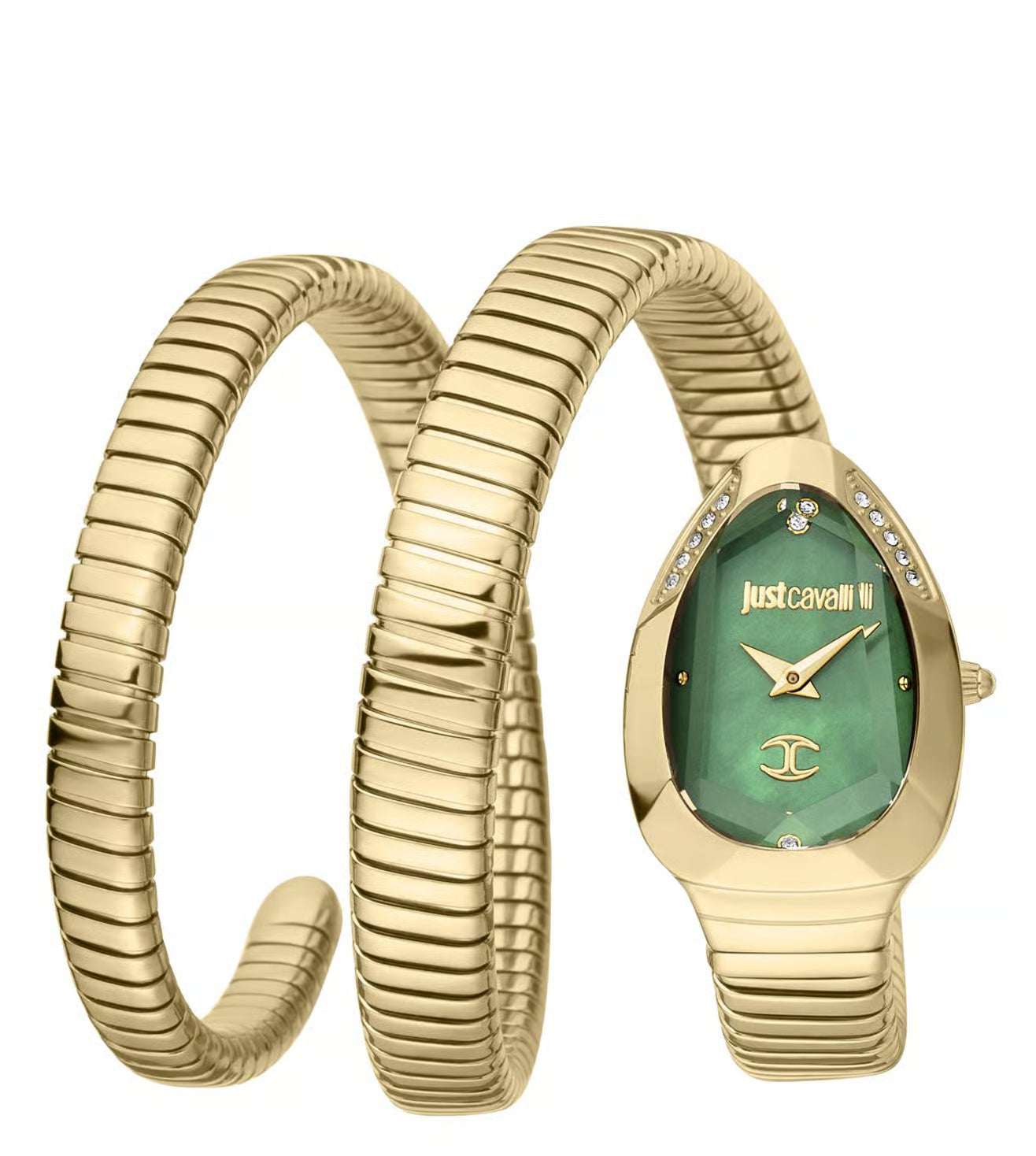 Just Cavalli JC1L209M0045