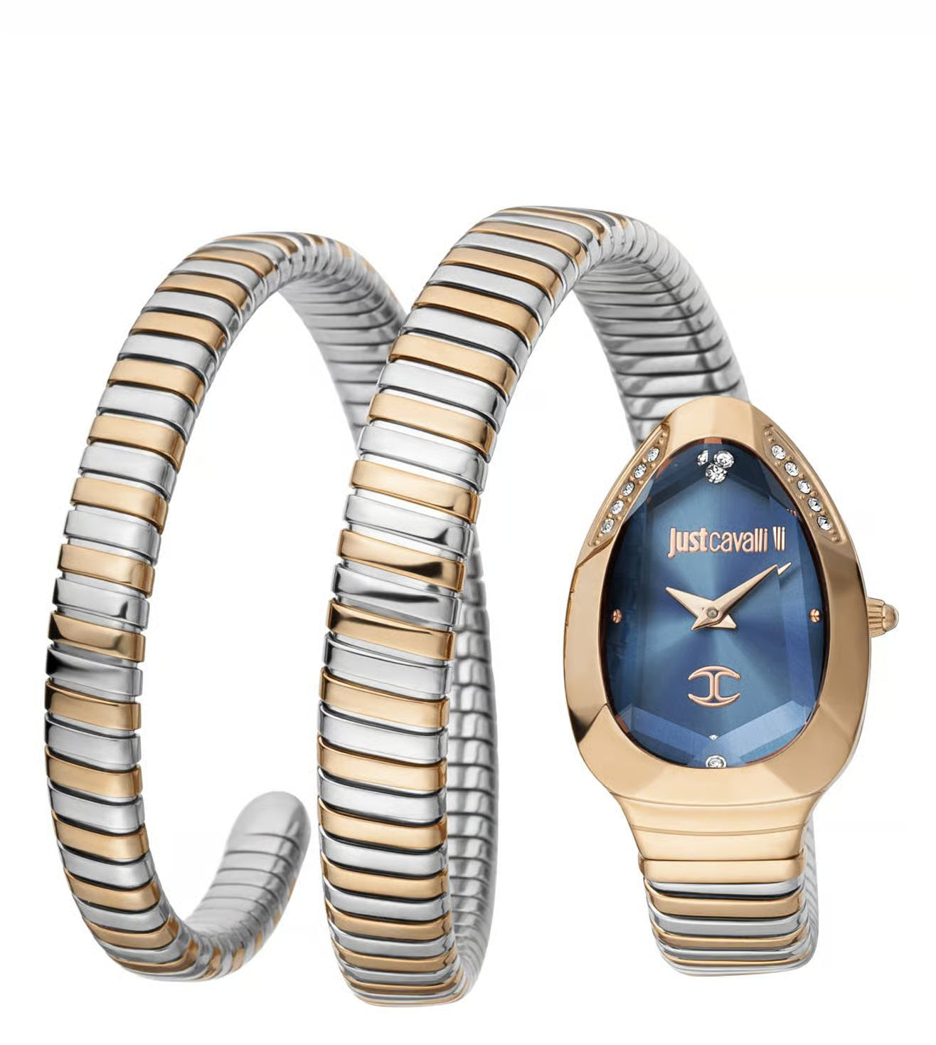 JUST CAVALLI JC1L209M0085