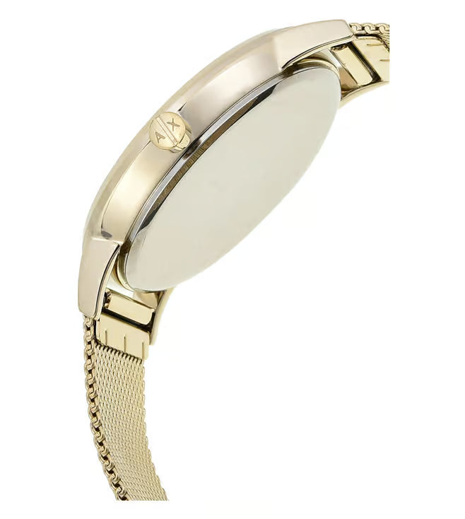 ARMANI EXCHANGE  AX5536