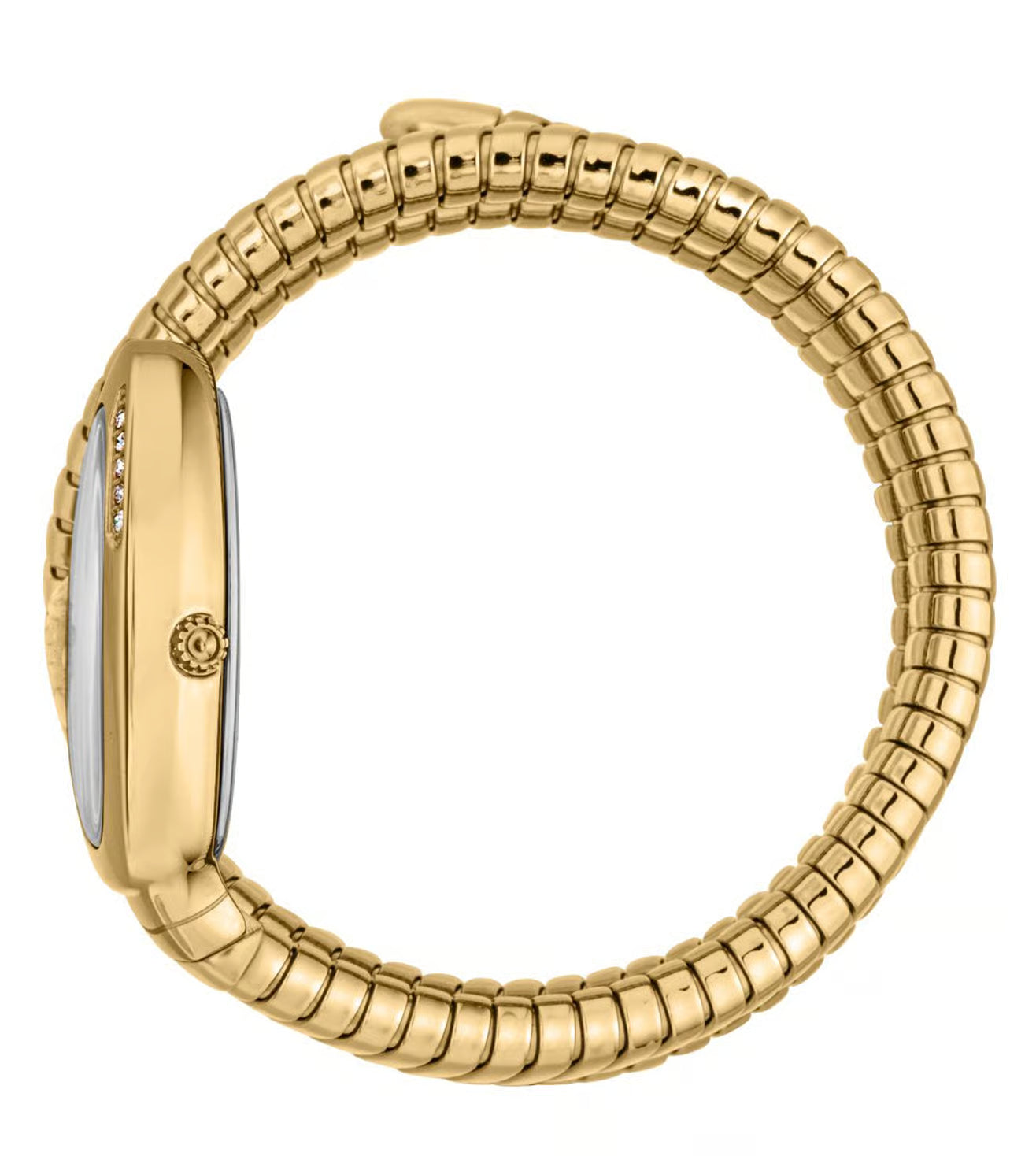 Just Cavalli JC1L230M0035