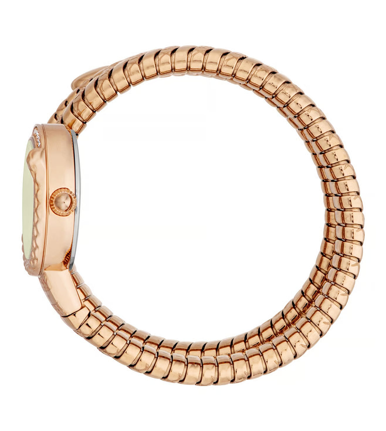 just cavlli JC1L302M0045