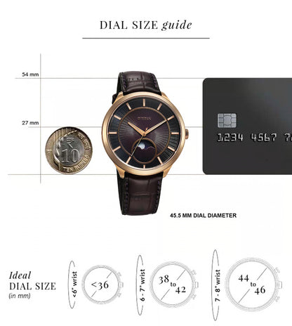 TITAN     10028WL01