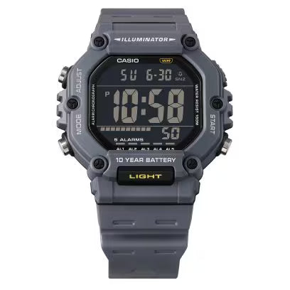 CASIO D387