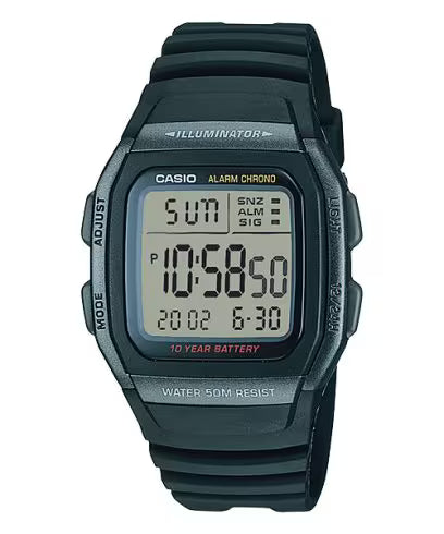 CASIO D054