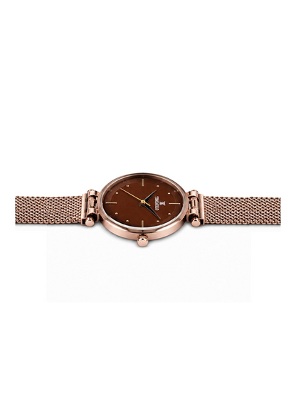 Labdhi Watches & Premium TimeGold Aurora mesh watch with a brown dial and rose gold stainless steel mesh strap.
