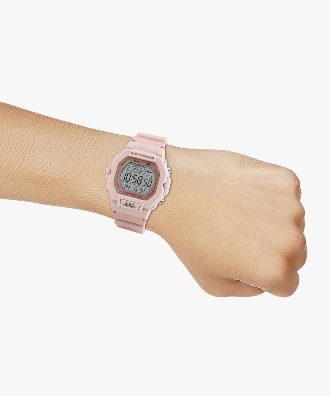CASIO D317