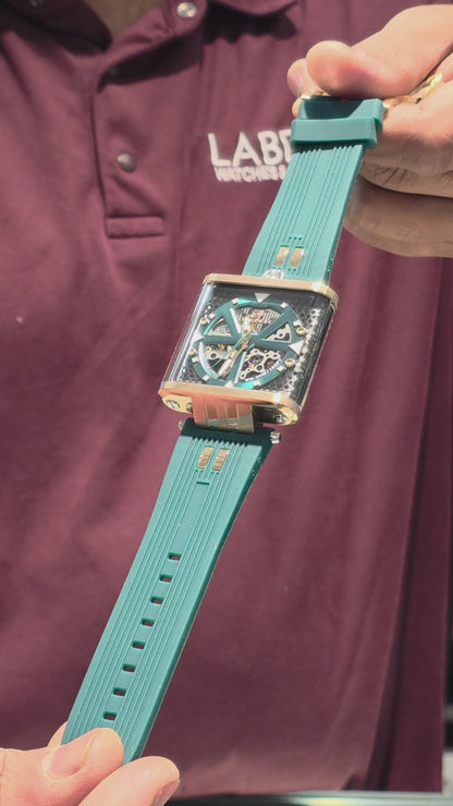 D'SIGNER 970RGFS.16G Automatic Watch