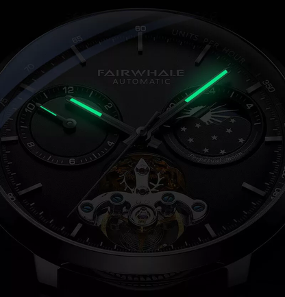 Mark Fairwhale FW-6060-2 Black Men's Automatic Watch