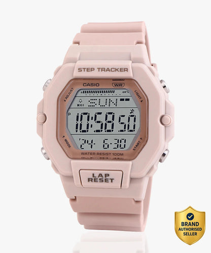 CASIO D317